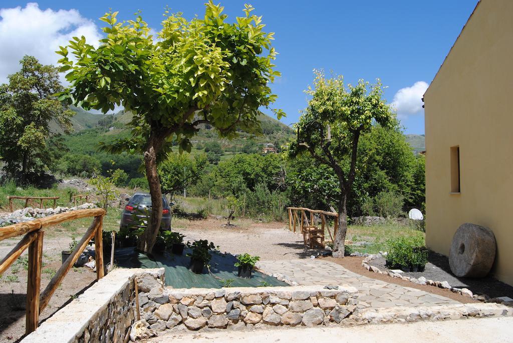 Il Giardino Di Julia B&B Tortora Exterior foto