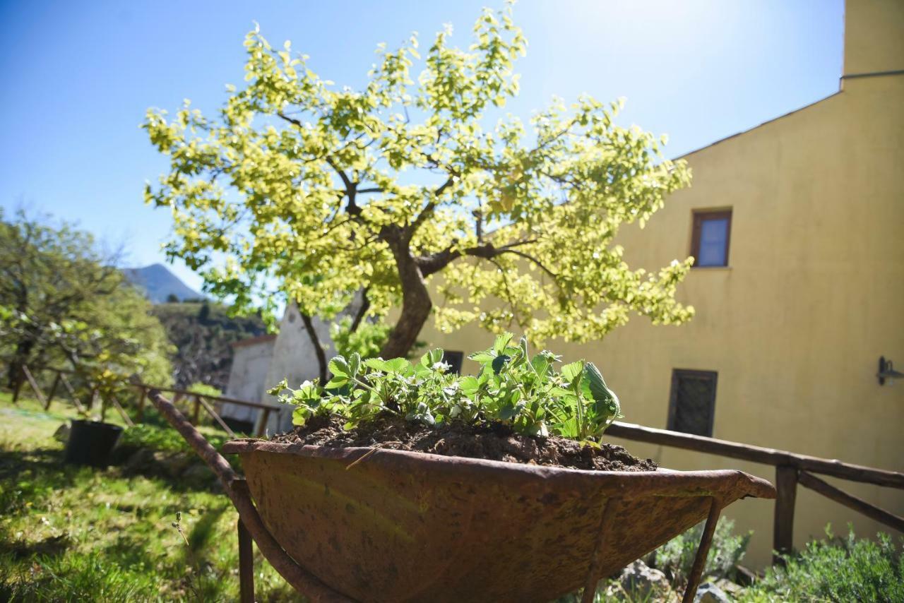 Il Giardino Di Julia B&B Tortora Exterior foto